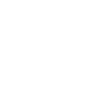 florida-icon