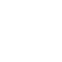 sheild-icon