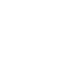 cruiseliner-icon-white